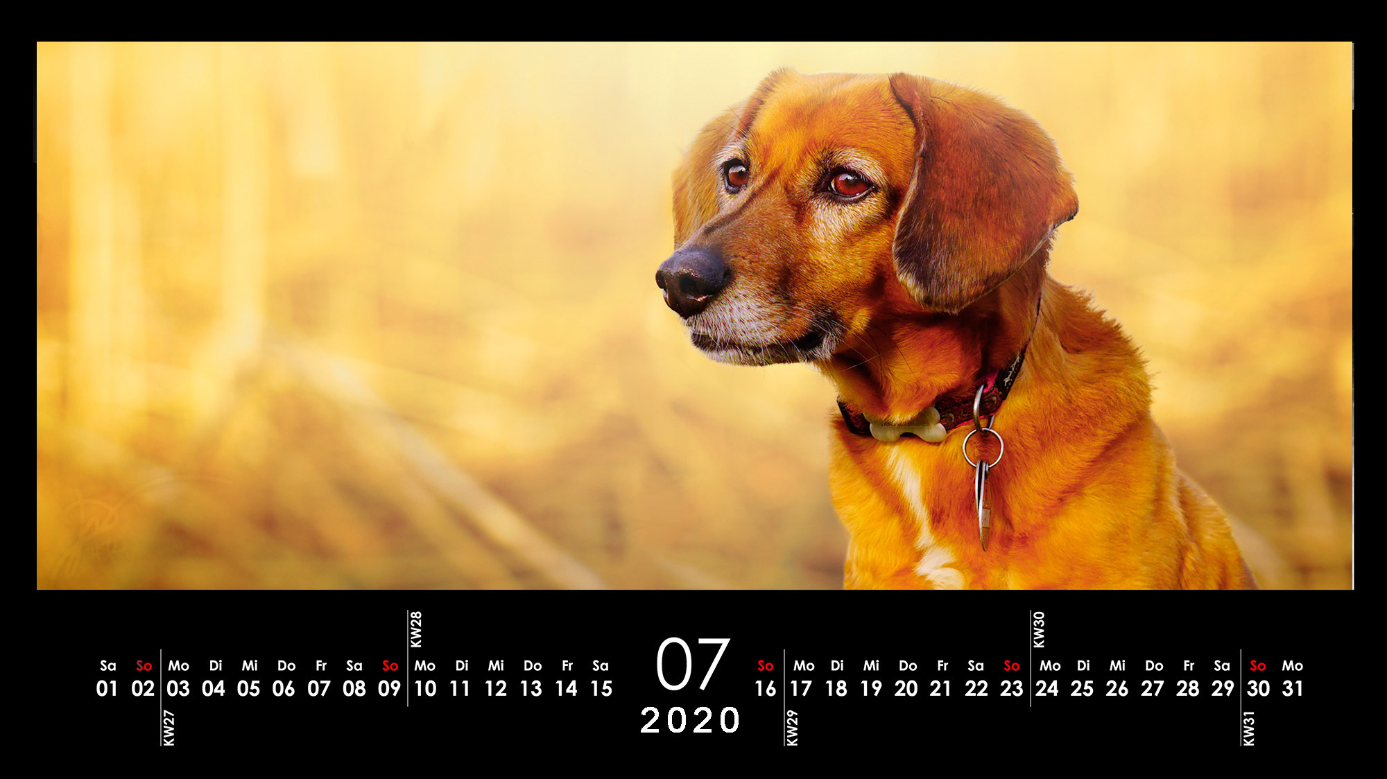 Kalender Hunde München